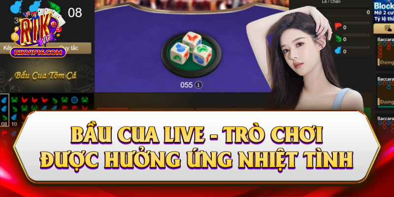 Bầu Cua Live - Trò Chơi Được Hưởng Ứng Nhiệt Tình 